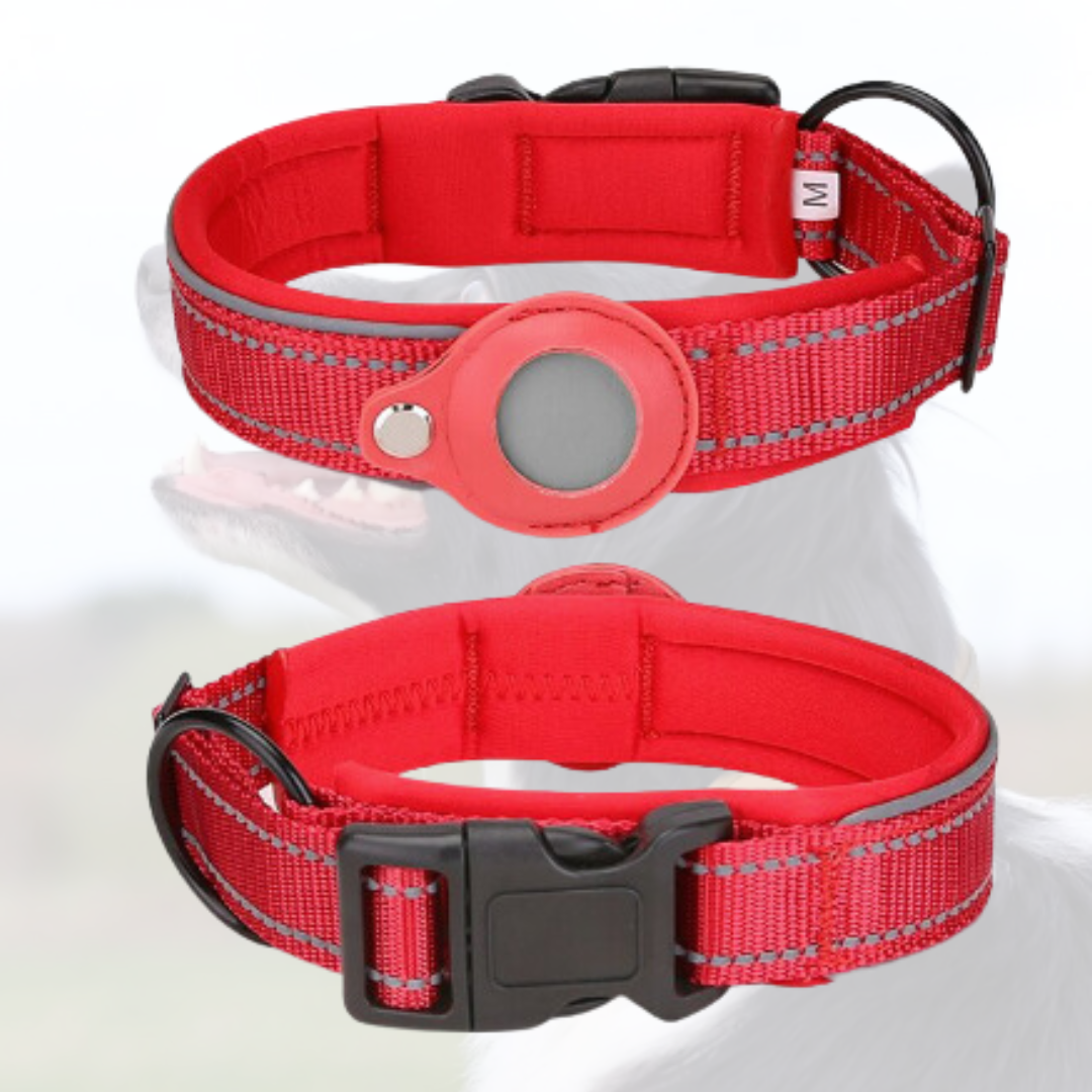 Anti-Lost Airtag Pet Dog Collar - Red