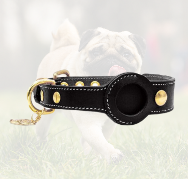 Luxury Genuine Leather Airtags Pet Collar- Black