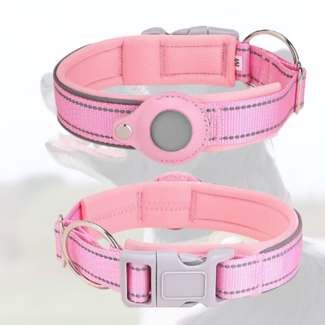 Anti-Lost Airtag Pet Dog Collar - Pink