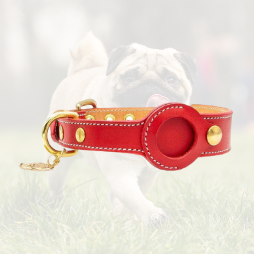 Luxury Genuine Leather Airtags Pet Collar- Red