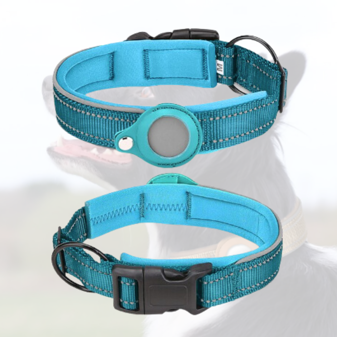 Anti-Lost Airtag Pet Dog Collar - Blue